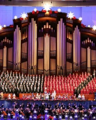 Western Connecticut Youth Orchestra: Meet the Orchestra