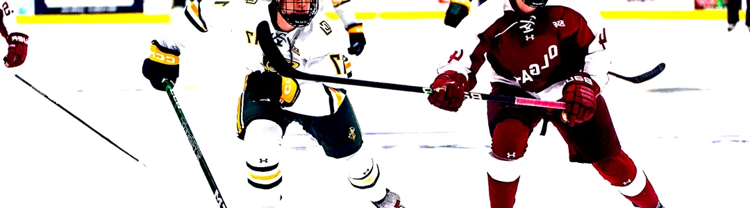 Clarkson Golden Knights