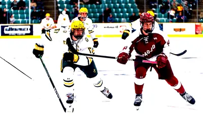 Clarkson Golden Knights