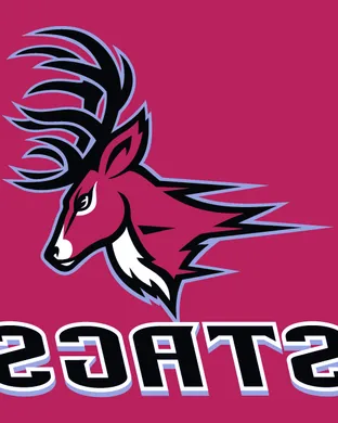 Fairfield Stags vs. Vermont Catamounts sports event