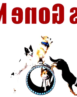 Mutts Gone Nuts: Santa Paws