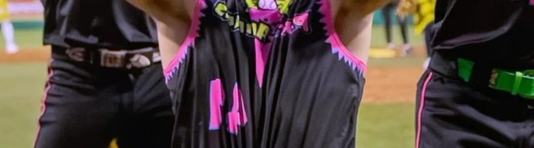 Party Animals - Baseball