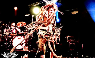 Shadows Fall