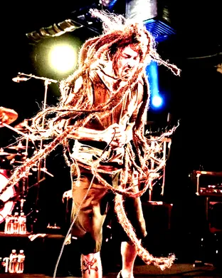 Shadows Fall Springfield