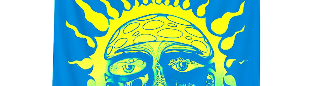 Sublime - Band