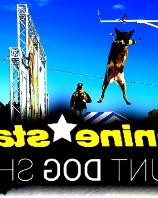 The Canine Stars Stunt Dog Show