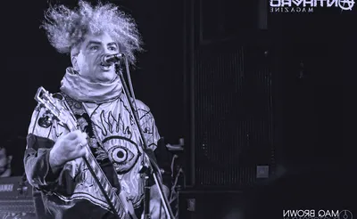 The Melvins
