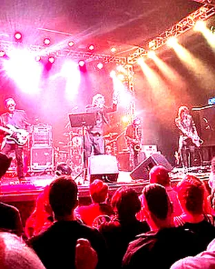 The Psychedelic Furs