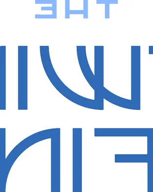 Twin Fin