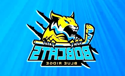 Blue Ridge Bobcats